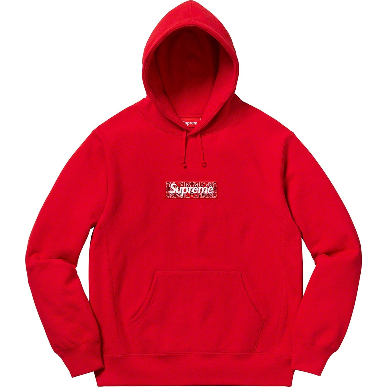 Bandana Box Logo Hooded Sweatshirt view 9